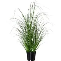 Künstliche Zimmerpflanze Topfpflanze Gras, Gasper, Höhe 58 cm, Farbe: Grün