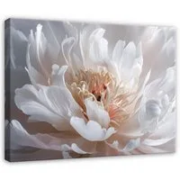 Wallarena Leinwandbild Blumen Pfingstrosen - Weiß - Modern - Wohnzimmer, Blumen, 40x30x2cm