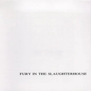 Fury in the Slaughterhouse