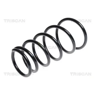 Triscan Feder vorne Suzuki Swift 3 1,6