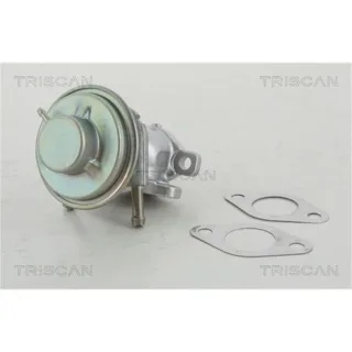 Triscan AGR-Ventil Fiat Ducato Iveco Daily 881315029