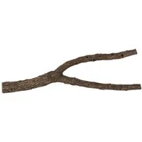 Kork-Deko.de Terrarium Korkast mit Gabelung 50 cm, Naturkork-Rinde, Terrarien-Deko