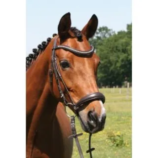 Hans Melzer Horse Equipment Hans Melzer Trense Calgary hannoversches Reithalfter braun/silber Pony