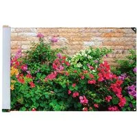 Maximex Balkonsichtschutz Mauer-Blumen 5 m, UV- und witterungsbeständig