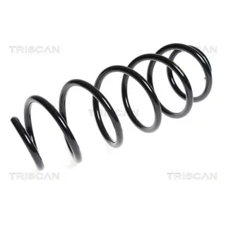 Triscan Feder vorne Peugeot 207 1,6 875028144