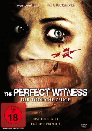 The Perfect Witness [DVD] [2013]