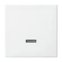 Bedienelement Typ 6543-914-102, Dimmer Retail
