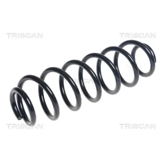 Triscan Feder hinten Skoda Octavia VW Golf 875029390