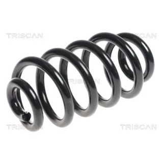 Triscan Feder hinten Audi A6 C6 875029351