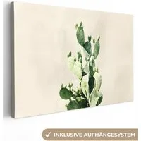 OneMillionCanvasses® Leinwandbild Kaktus - Grün - Minimalistisch, Fotodruck (1 St), Leinwand Bilder Klein, Wand Dekoration Aesthetic 30x20 cm