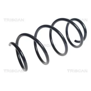 Triscan Feder vorne Fiat 500 875015193
