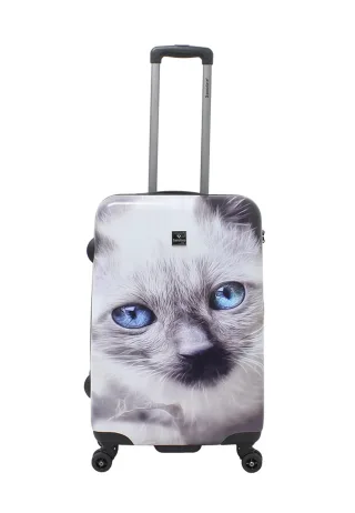 Saxoline Koffer "White Cat" mit praktischen Tragegriffen
