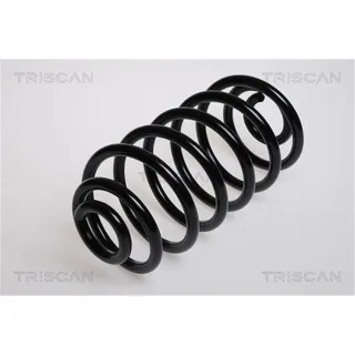 Triscan Feder hinten Opel Zafira 875024027