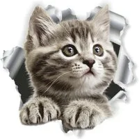 Hermann Schütz Aufkleber Hermann Schütz Aufkleber Einschussloch Katze