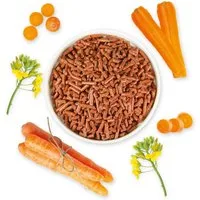 Schecker Trocken-Karotten-Granulat – die natürliche Vitaminquelle für Hunde, Ergänzungsfutter für: Hunde, ohne Zusatzstoffe