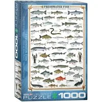 Puzzle 1000 Teile Puzzle - Puzzle - Süßwasser Fische, Puzzleteile