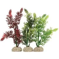 Europet-Bernina Aquariendeko Aquariumpflanze Wasserpest