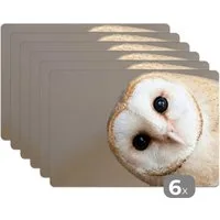 MuchoWow Platzset Eule - Braun - Weiß, (6-St), Platzsets, Tischset, Abwaschbar, Tischsets, Platzdeckchen