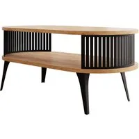MIRJAN24 Couchtisch Roenni Oval (mit Regal), Beine und Seiten aus Stahl, 100x50x44 cm