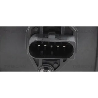 Triscan AGR-Ventil Citroen Ford Land Rover Peugeot 881310007