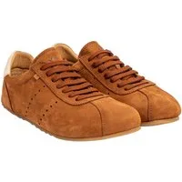 El Naturalista Schnürschuh