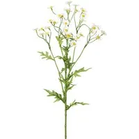Kunstblume Künstliche Kamille ca. 60 cm. Korbblütler, weiß, Gasper