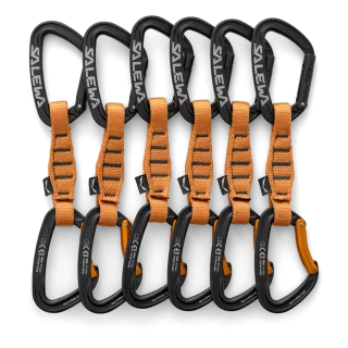 SALEWA - Ortles Straight/Bent 110 Quickdraw 6 Pack - Schwarz (Gr.UNI)