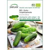 SAFLAX Gemüsesamen SAFLAX - Samen - BIO - Gurke - Vorgebirgstraube