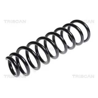 Triscan Feder hinten VW Touareg