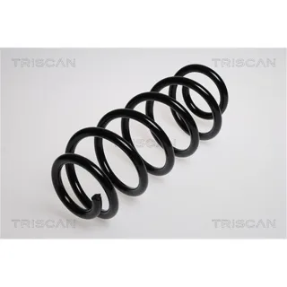 Triscan Feder vorne Skoda Superb VW Passat 875029528