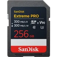Sandisk USB-Flash-Laufwerk
