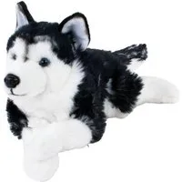 Teddys Rothenburg Kuscheltier Sibirischer Husky liegend schwarz/weiß 38 cm Plüschhund Stofftier (Plüschtier, Stoffhund, Plüschhusky)