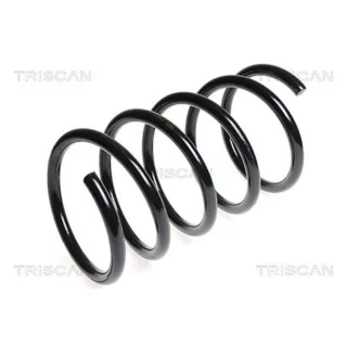 Triscan Feder vorne Hyundai Santa Fe 2 87504357