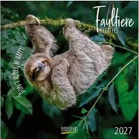 Korsch Verlag Wandkalender Faultier 2027