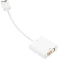 DisplayPort 1.2 > DVI24+1 Converter, Kabel weiß, 15 cm