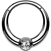 Taffstyle Nasenpiercing Septum Piercing Ring Segmentring Clicker Scharnier Glitzer Kristall, Nasenpiercing Nasenring Ohrpiercing Ohr Nase Tragus Helix Brust Intim