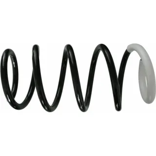 Sachs Feder vorne Renault Kangoo 993598