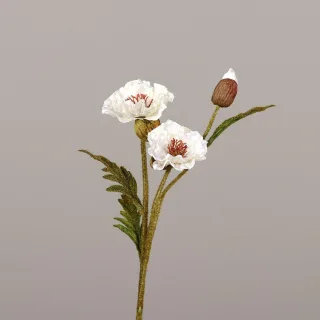 Weiß