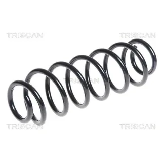 Triscan Feder hinten Audi A1 VW Polo