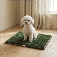 PawHut Hundetoilette 63 x 50,5 cm Welpentoilette Welpenklo Hundeklo mit 2 Kunstrasen, für Welpen und Hunde für Balkon Zuhause Wohnung