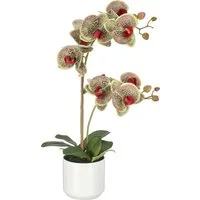 Kunstorchidee Phalaenopsis, Creativ green, Höhe 58 cm, mit Real-Touch-Blüten