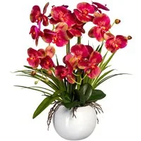 Kunstorchidee Phalaenopsis Orchidee Phalaenopsis, Creativ green, Höhe 58 cm, im Keramiktopf