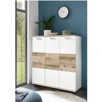 PREISBRECHER Schuhschrank Hugo 120 x 118 x 38 cm (B/H/T)