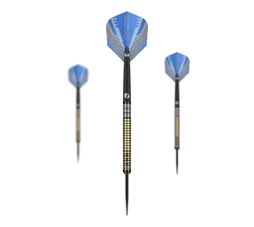 Shot Ritchie Edhouse Madhouse Steeldarts