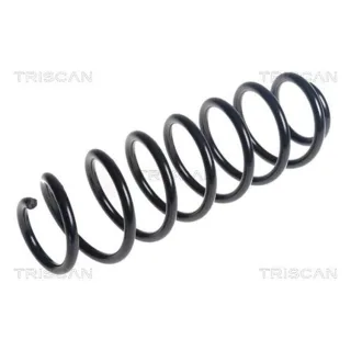 Triscan Feder hinten Honda Civic 9 875040118