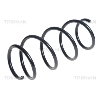 Triscan Feder vorne Kia Rio