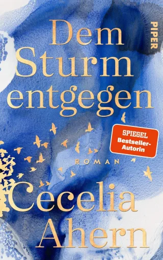 Dem Sturm entgegen: Roman | Der neue Roman von Bestsellerautorin Cecelia Ahern ? tiefgründiger und gefühlvoller denn je