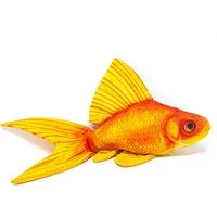 GABY Kuscheltier GABY fish pillows - Kissen - Goldfisch - 52 cm