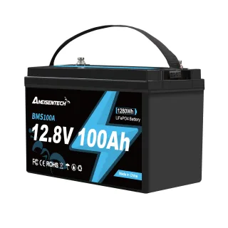 [EU Direct] Ameisentech 12V 100Ah LiFePO4 Battery Pack Built-in BMS 1280Wh High Capacity, Support Series/Parallel, ABS S