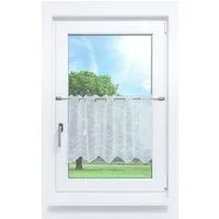 Plauener Spitze® Scheibengardine Melissa (1 St), transparent, HxB 45x48.6cm